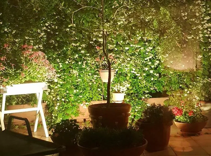 B&B Michelangelo Napoli